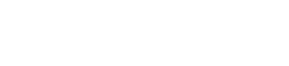 MEGAベトナムのロゴ