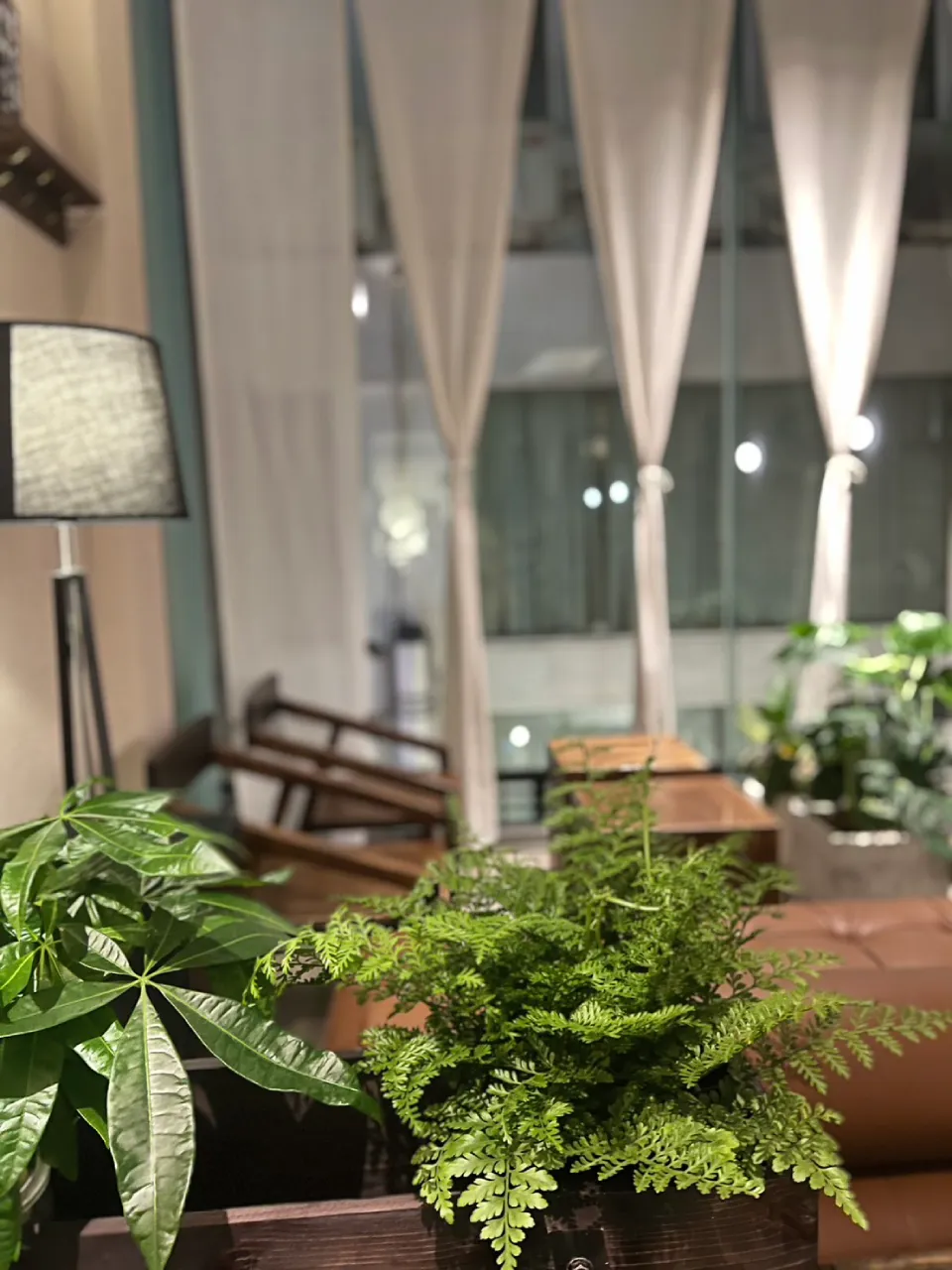 EDI Lounge & Barの店舗写真